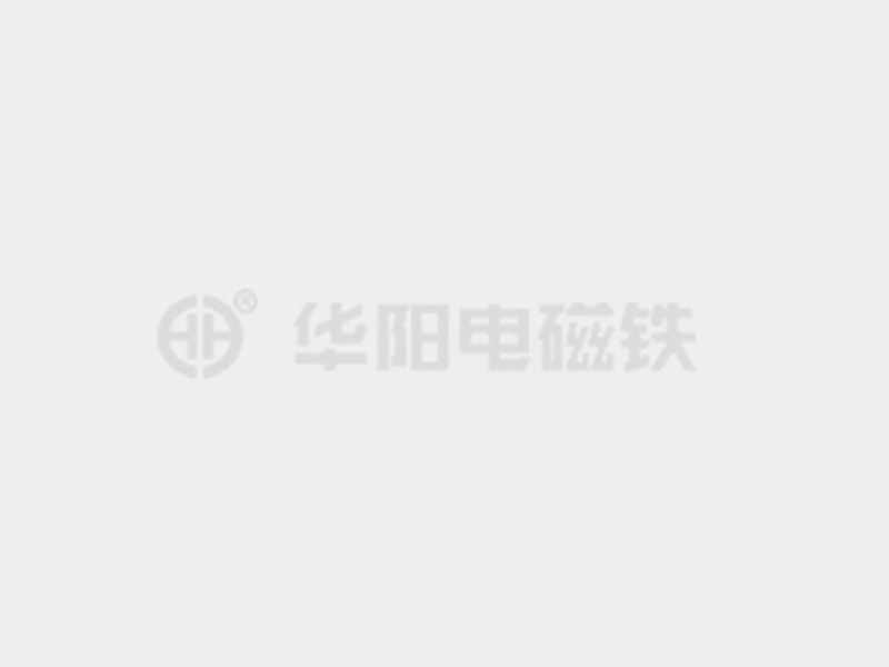 白虎骚货被操视频防爆电磁铁的储存和维护较佳实践！